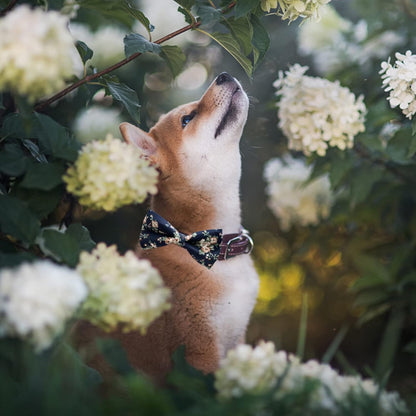 Dog Bow Ties, 10 PCS Flower Pattern Adjustable Bowties for Cats & Small Medium Large Dogs Collar Charms for Birthday Wedding Parties（Flower）