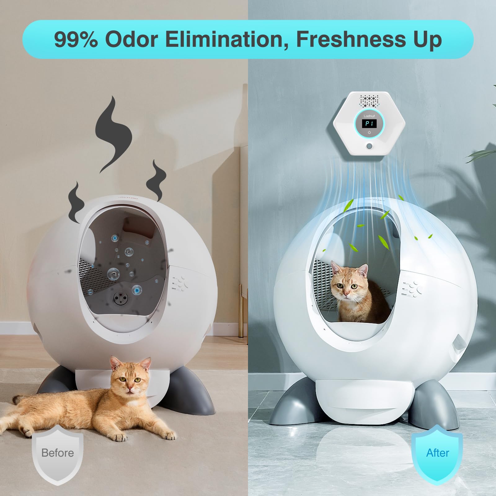 Cat Litter Odor Deodorizer. Chosen for real quality, fits naturally into modern pet homes.