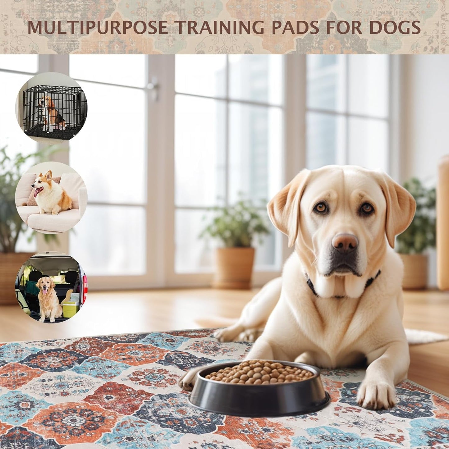 IEUUMLER Washable Pee Pads for Dogs, 1 Pack Reusable Non-Slip Grip, Super Absorbent Waterproof Puppy Pads for Potty Training, Playpen, Crate, Whelping Box EU011 (Orange, 71" x 71")