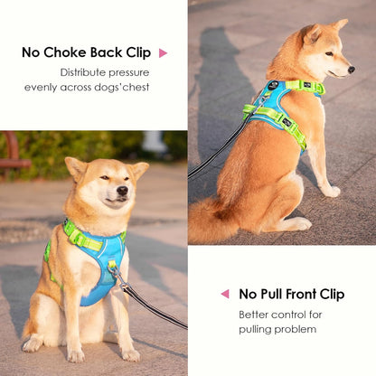 PHOEPET No Pull Dog Harness, Unique Colors Reflective Adjustable Dog Vest, with Soft Training Handle Metal Clips for Small Medium Large Dogs (Blue Base & Green Straps,M)