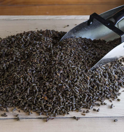 Triple Crown Senior Gold Premium Horse Feed, EquiMix Superior Nutrition, Textured Equine Senior Horse Food, Weight Gain for Mature & Performance Horses, 50 lbs