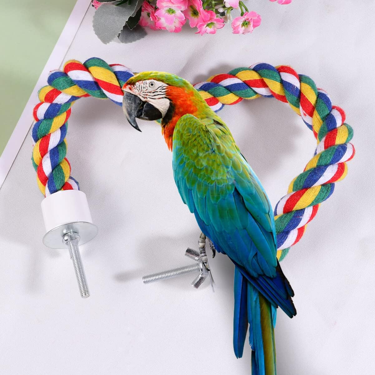 Colorful Bird Rope Perch Stand, Birdcage Swing Spiral Toys, Bird Bungee Rope Perches Toys Cage Accessories for Cockatiels Parrot Birds (60CM/23.6inch)