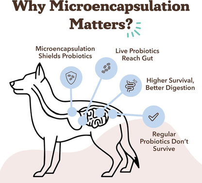 Natural Dog Company Gut Health & Probiotic Chews for Dogs (45 Ct), Prebiotics, Digestive Enzymes & Canine Specific Probiotics for Digestion, Gas, Loose Stool & Immune System Support, 1 Chew Daily