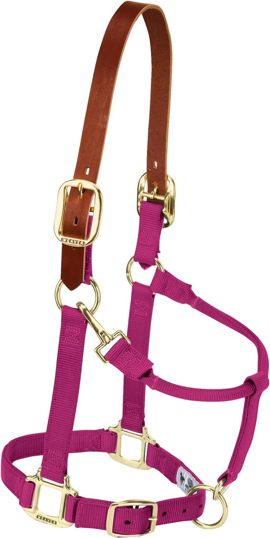 Weaver Equine Breakaway Horse Halter, Supple Leather Crown, Adjustable Chin & Throat Snap Halters for Horses, Equine Tack