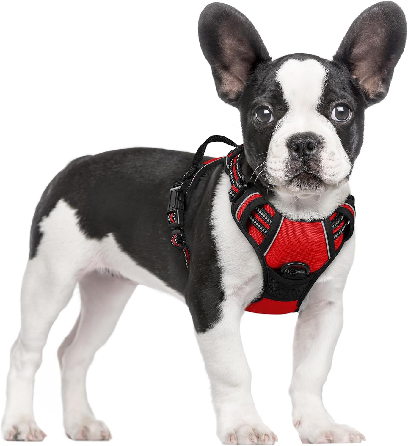 rabbitgoo Dog Harness No Pull with 2 Leash Clips, Adjustable Soft Padded, Reflective Oxford No Choke Pet Vest with Easy Control Handle for Small Dogs, Red, S