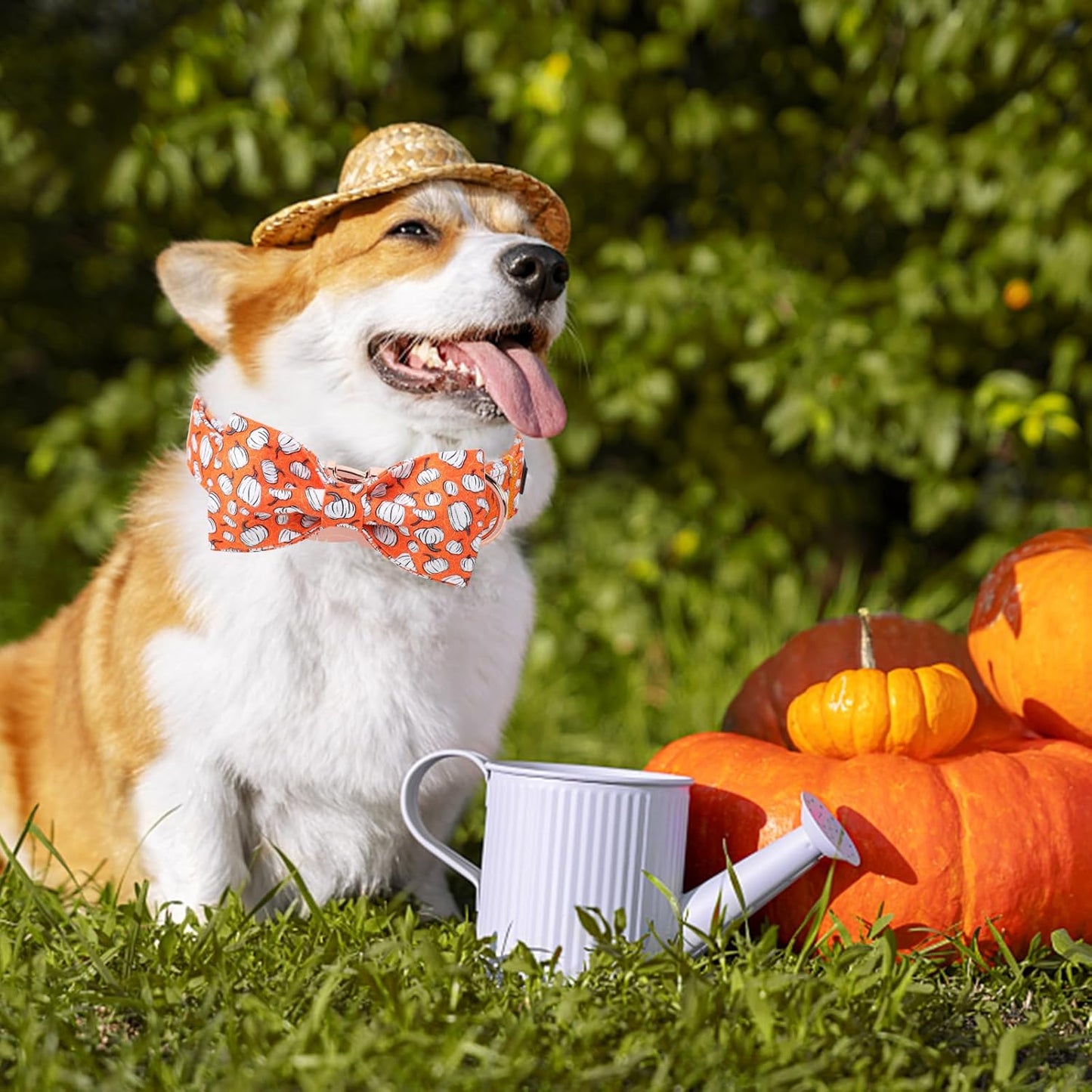 Unique Style Paws Halloween Day Dog Collar with Bow Line Pumpkin Cotton Dog Collars for Small Medium Large Dogs