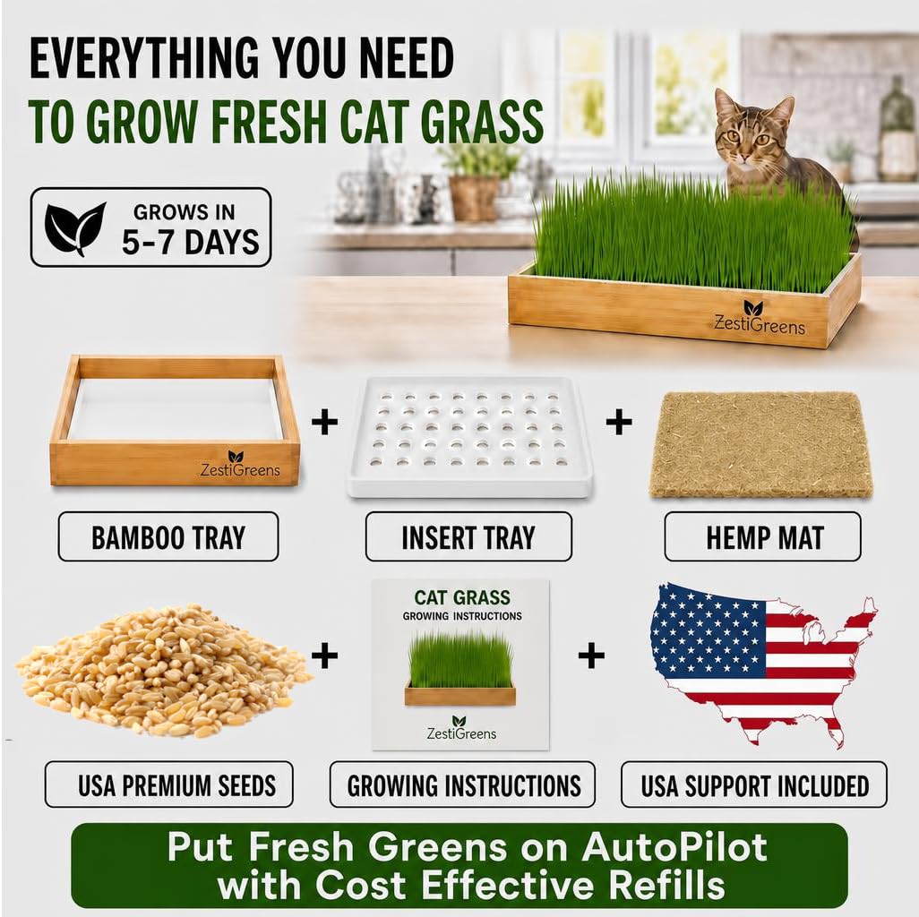 Cat Grass for Indoor Cats. Chosen for real quality, fits naturally into modern pet homes.