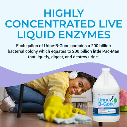 KINZUA ENVIRONMENTAL Urine B-Gone, Professional Enzyme Odor Eliminator & Pet Stain Remover, Human, Cat & Dog Urine Cleaner, Effective on Laundry, Carpets & More, Lavender Scent, 1 Gallon
