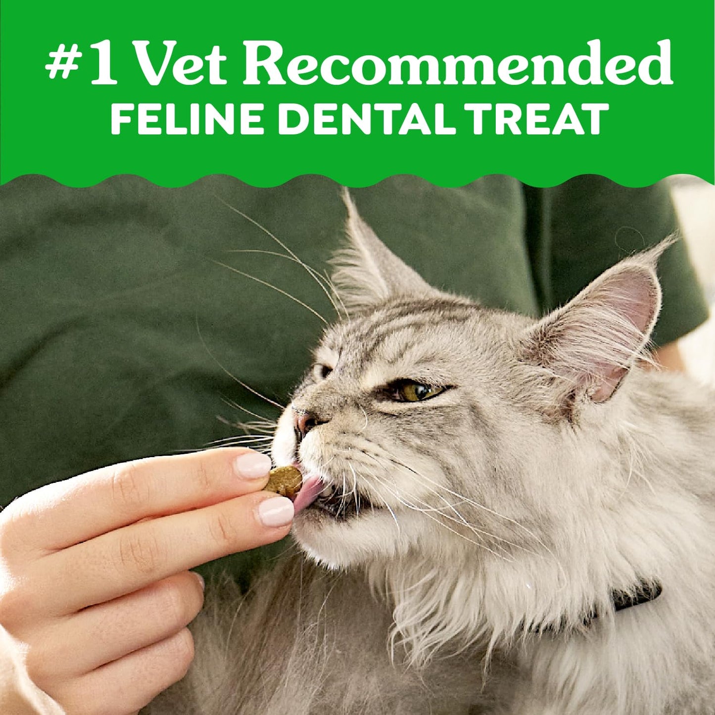 Greenies Feline Natural Dental Cat Treats. Chosen for real quality, fits naturally into modern pet