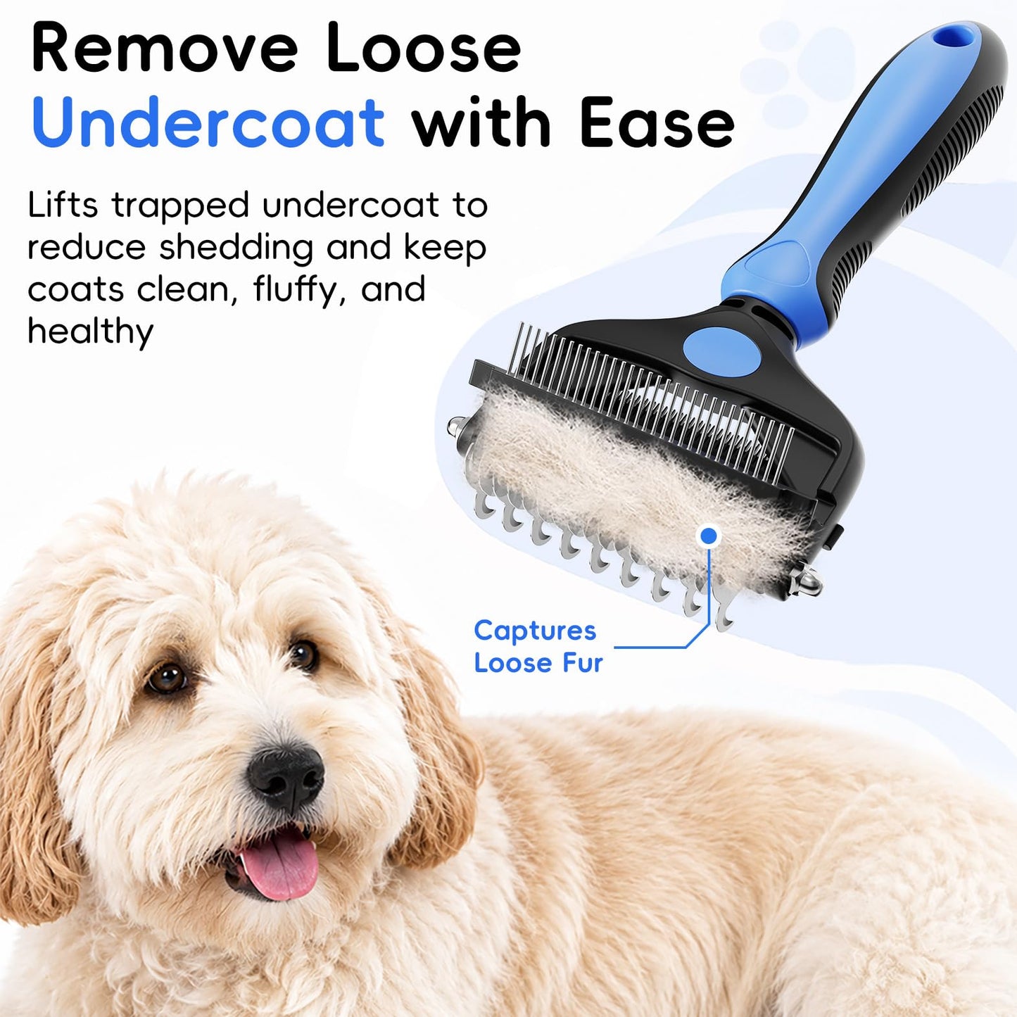 AXEFUN 3. Chosen for real quality, fits naturally into modern pet homes.