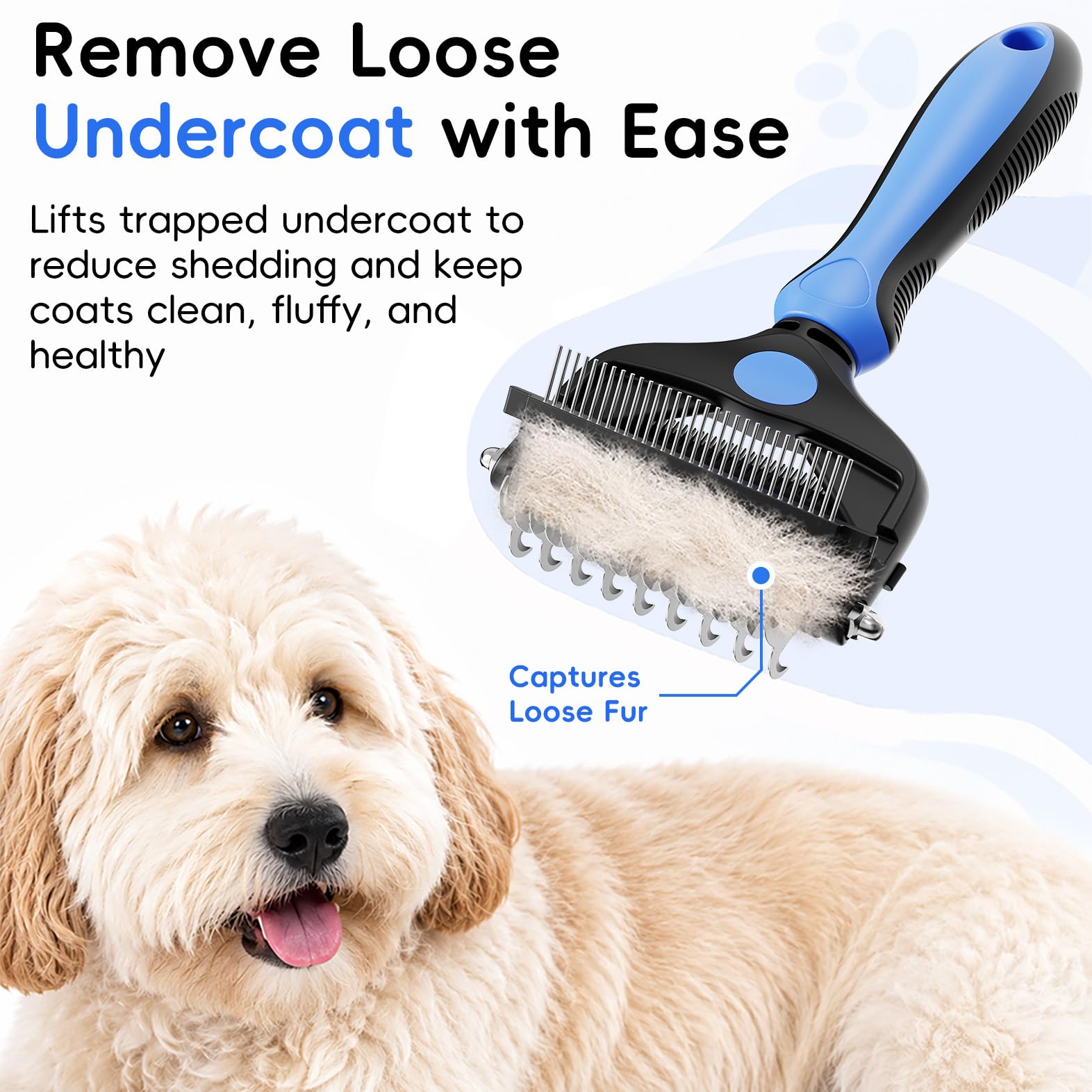 AXEFUN 3. Chosen for real quality, fits naturally into modern pet homes.