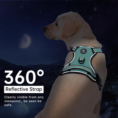 IVY&LANE No Pull Dog Harness with Leash Set, Reflective No Choke Pet Vest,Adjustable Oxford Dog Vest Harness with Easy Control Handle for Medium Dogs (Turquoise,M)