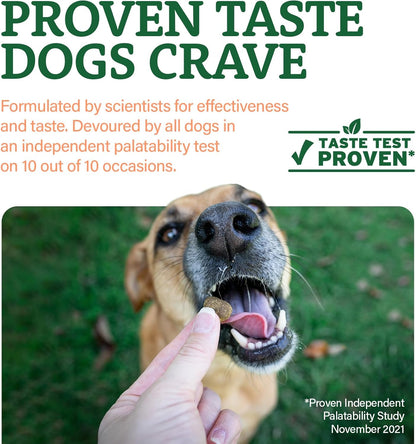 Doggie Dailies Senior Essentials Multivitamin for Dogs Soft Chews | Advanced Dog Multivitamin | Nutritional Support for Joints, Skin & Coat, Digestion, and the Immune System | Bacon Flavor | 120 Count