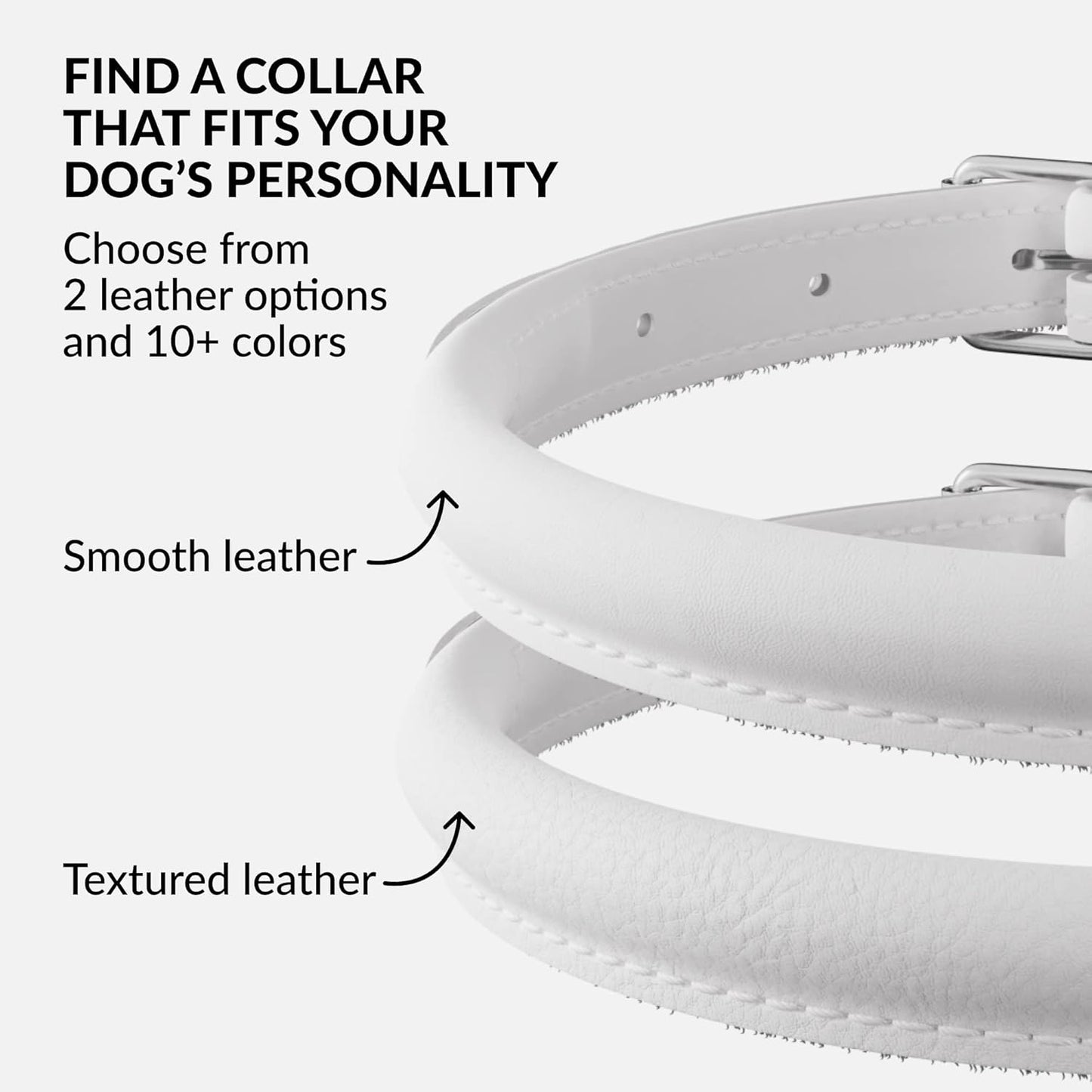 CollarDirect Rolled Leather Dog Collar, Soft Padded Round Puppy Collar, Handmade Genuine Leather Collar Dog Small Large Cat Collars 13 Colors (6 Inch, White Smooth)