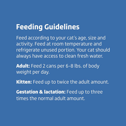 Amazon Brand - Wonder Bound Wet Cat Food, Pate, No Added Grain, (Salmon), 3 ounce (Pack of 24)