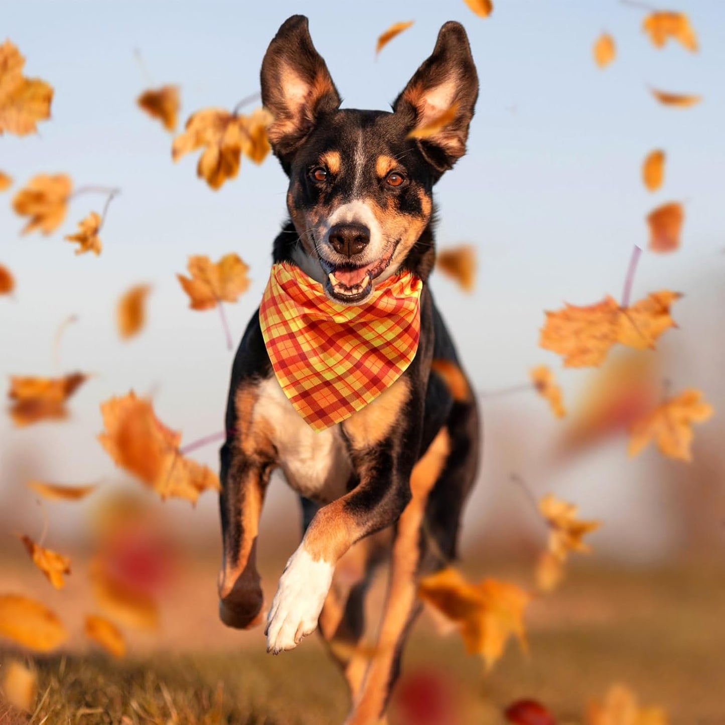 Abbylike 50 Pcs Fall Plaid Dog Bandanas Bulk Thanksgiving Bandanas for Dogs Triangle Kerchief Bibs Scarf for Pets Autumn Costume Photo Props Accessories Pet Shops, 25 Styles (31.5 x 21.7 x 21.7)