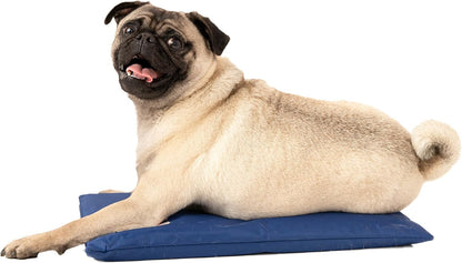 Dog Cooling Pad Dog Cooling Products Hydro Cooling Mat (18"x10.5") (Mini)