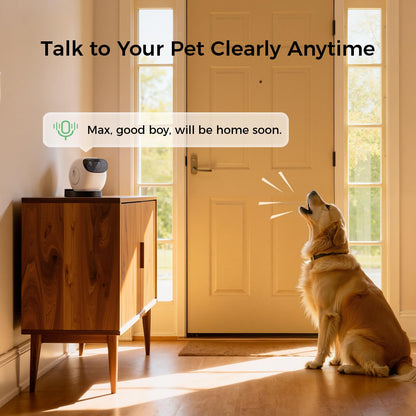 2026 3K Pet Camera Treat Dispenser. Chosen for real quality, fits naturally into modern pet homes.