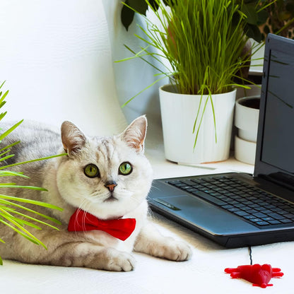 Dog Collar Bowties - 20 PCS Birthday Gift Adjustable Pet Bow Ties for Boys Girls Puppy Cats Photography Grooming Multicolor Bows(Small)