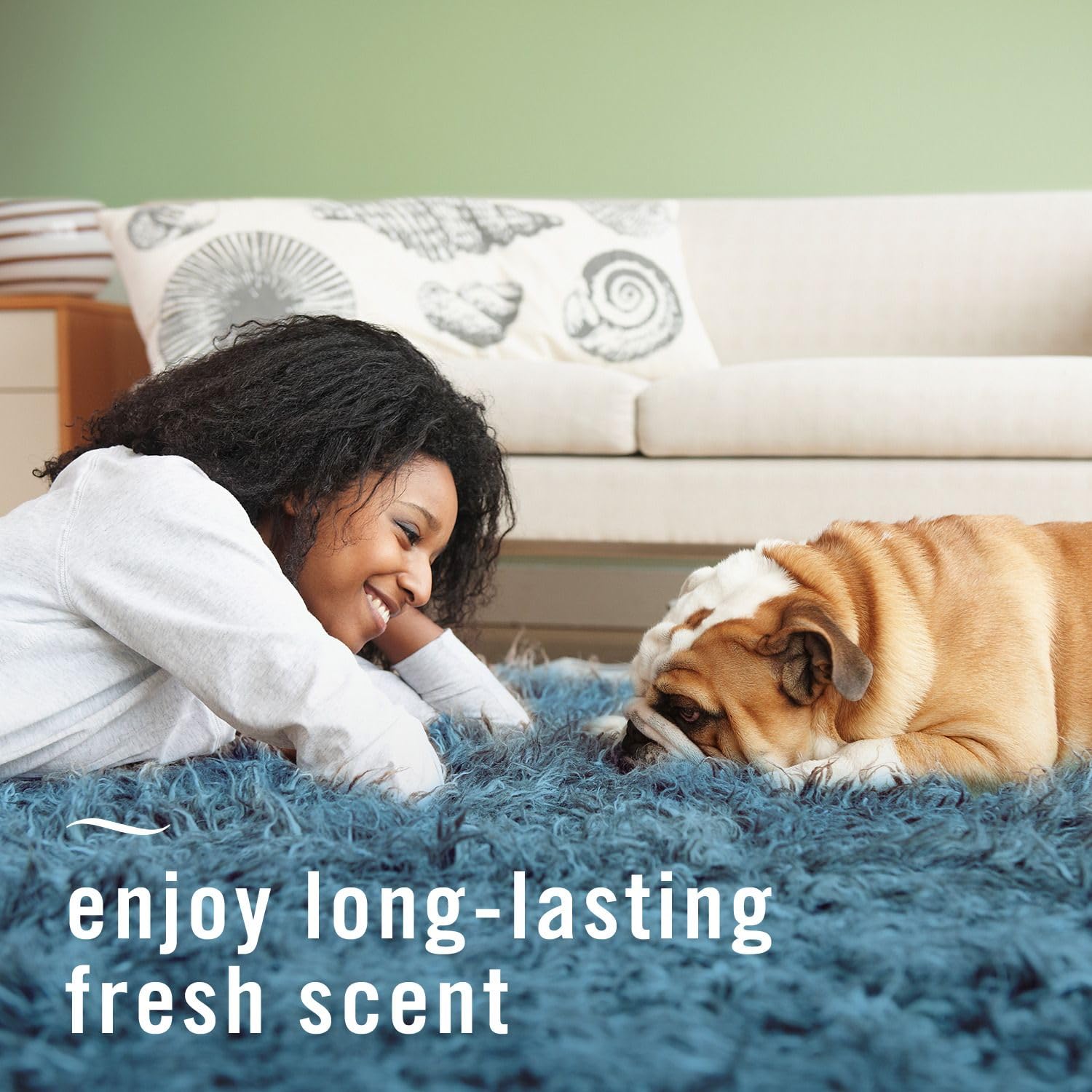 Febreze Fabric Spray Air Freshener. Chosen for real quality, fits naturally into modern pet homes.