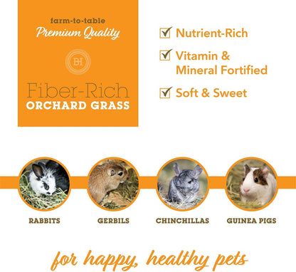 Orchard Grass Hay for Guinea Pigs, Rabbits, Hamsters & Small Pets by Bunny Honey - Fresh, High-Fiber, Supports Digestive Health & Dental Care, Non-Blended & Fresh Cut