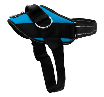 ShawnCo Essential Dog Harness. Chosen for real quality, fits naturally into modern pet homes.