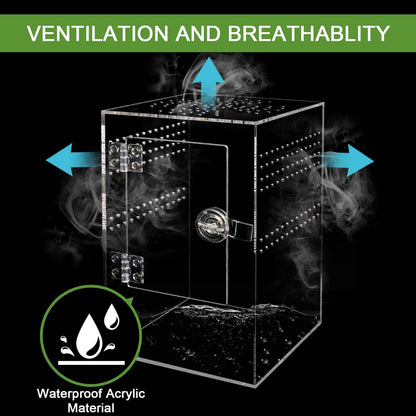 Spider Terrarium Kit, Jumping Spider Enclosure with Hideout, Rope Bridge, Ledge Ladder, Micro Habitat Terrarium for Small Tree Dwelling Reptiles, Arboreal Tarantula Enclosure (6x6x9 Inches)