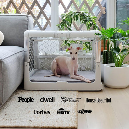 DIGGS Revol Collapsible Dog Crate with Wheels - Premium Portable Dog Crate - Safe, Stylish, and Convenient Indoor Kennel (Smoke, Medium)