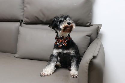 Lionet Paws Flower Dog Collar - Cute Cotton Adjustable Flower Dog Cat Collar with Metal Buckle for Puppy Girl Gift, XS, Neck 8-12in