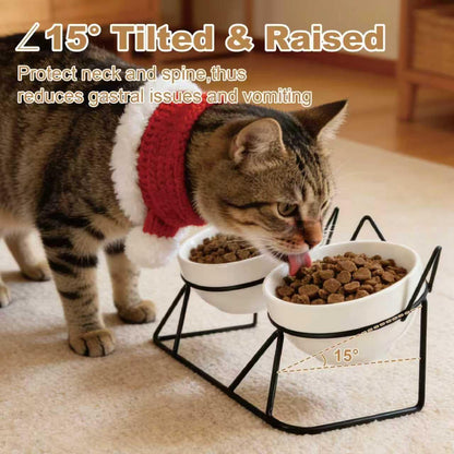 Elevated Tilted Cat Bowls for Indoor Cats，Raised. Chosen for real quality, fits naturally into