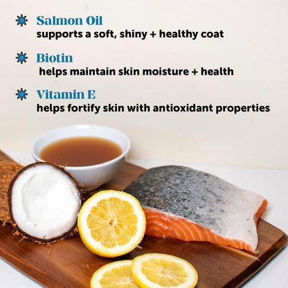 Dog Skin and Coat Supplement with Salmon Oil for Dogs - Allergy Itch Relief + Skin & Coat Health, Dog Food Topper Bone Broth with Salmon Oil, Collagen, Biotin + Vitamin E (12 oz)