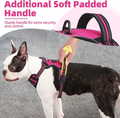 PUPTECK No Pull Dog Harness Small Sized, Adjustable Reflective Dog Harness with Handle Easy Control, Comfortable Soft Padded Pet Vest Harness for Small Dogs, Fuschia S