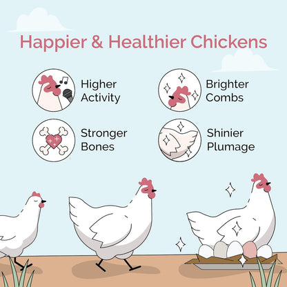 Chicken Grit for Layer & Grower Chickens Age 8-20+ Weeks - 100% Natural Mineral Chicken Grit Quartzite, Poultry Grit, USA Mined, 4 lbs