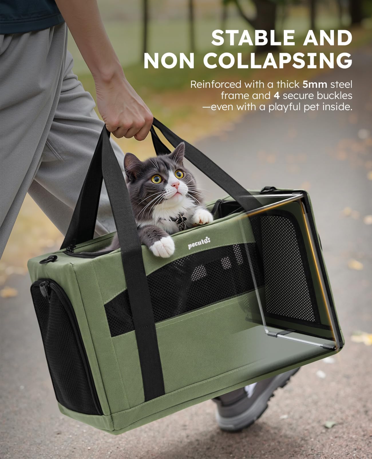 Pecute Cat Carrier Stable. Chosen for real quality, fits naturally into modern pet homes.