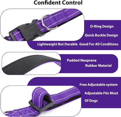 Reflective Dog Collar Padded with Soft Neoprene Breathable Quick Release Basic Dog Collars for Large Dogs Purple Girl