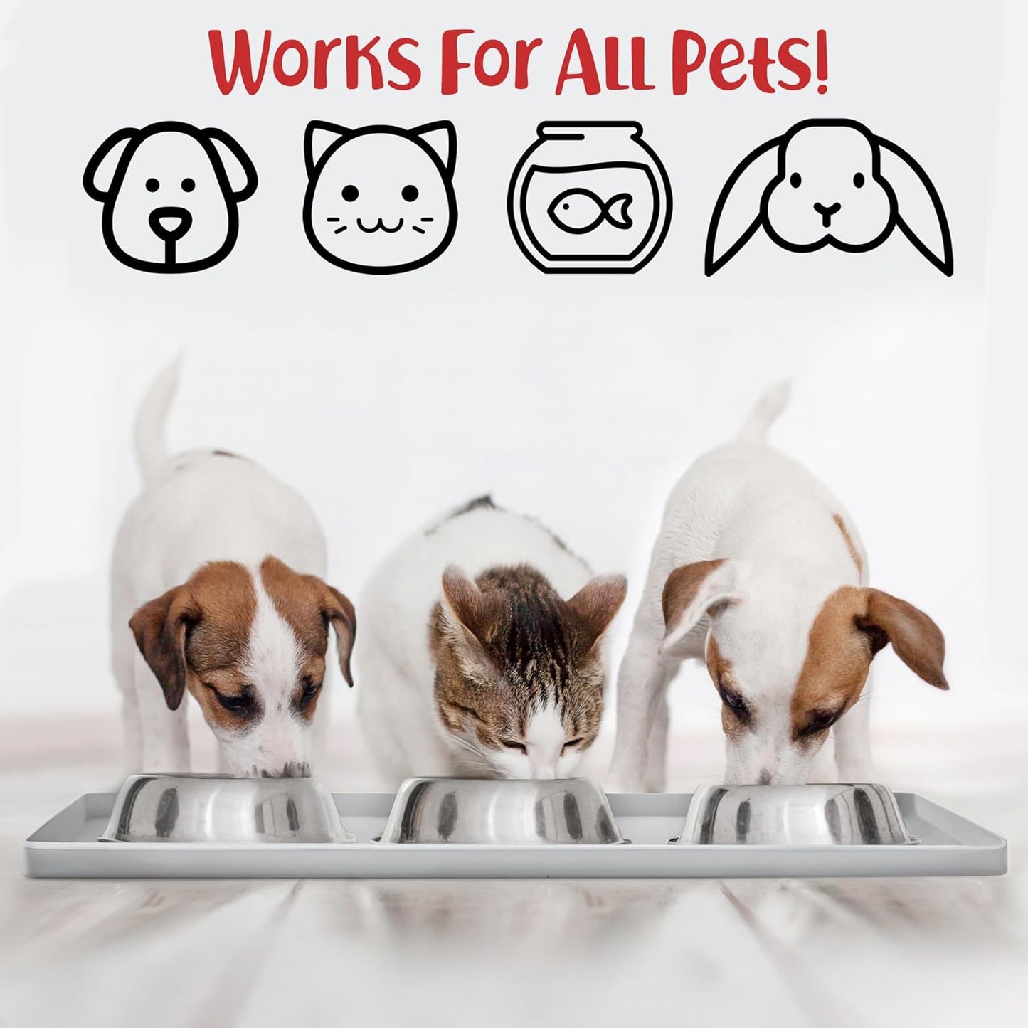 DogBuddy Dog Food Mat – Waterproof Dog Bowl Mat for Food and Water, Silicone Pet Feeding Mats for Floors, Non-Slip Placemat with High Edges for Dogs Bowls, Puppy Essentials (M: 21” x 14”, Mist)