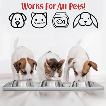 DogBuddy Dog Food Mat – Waterproof Dog Bowl Mat for Food and Water, Silicone Pet Feeding Mats for Floors, Non-Slip Placemat with High Edges for Dogs Bowls, Puppy Essentials (Small: 19"x12", Mist)