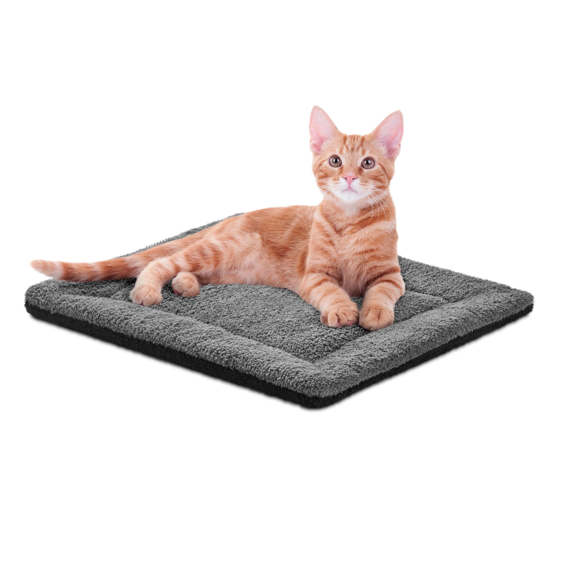 K&H Self. Chosen for real quality, fits naturally into modern pet homes.