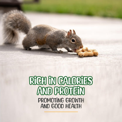 Premium Quality- 25 Pound Raw Peanuts in Shell – All-Natural Food for Squirrels, Deer, Birds, and Other Wildlife Animals – Bulk Wholesale Bag – Grown in The USA for Healthy Nutrition