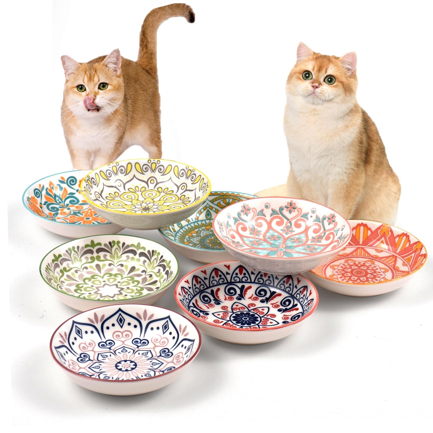 Cat Food Bowl. Chosen for real quality, fits naturally into modern pet homes.