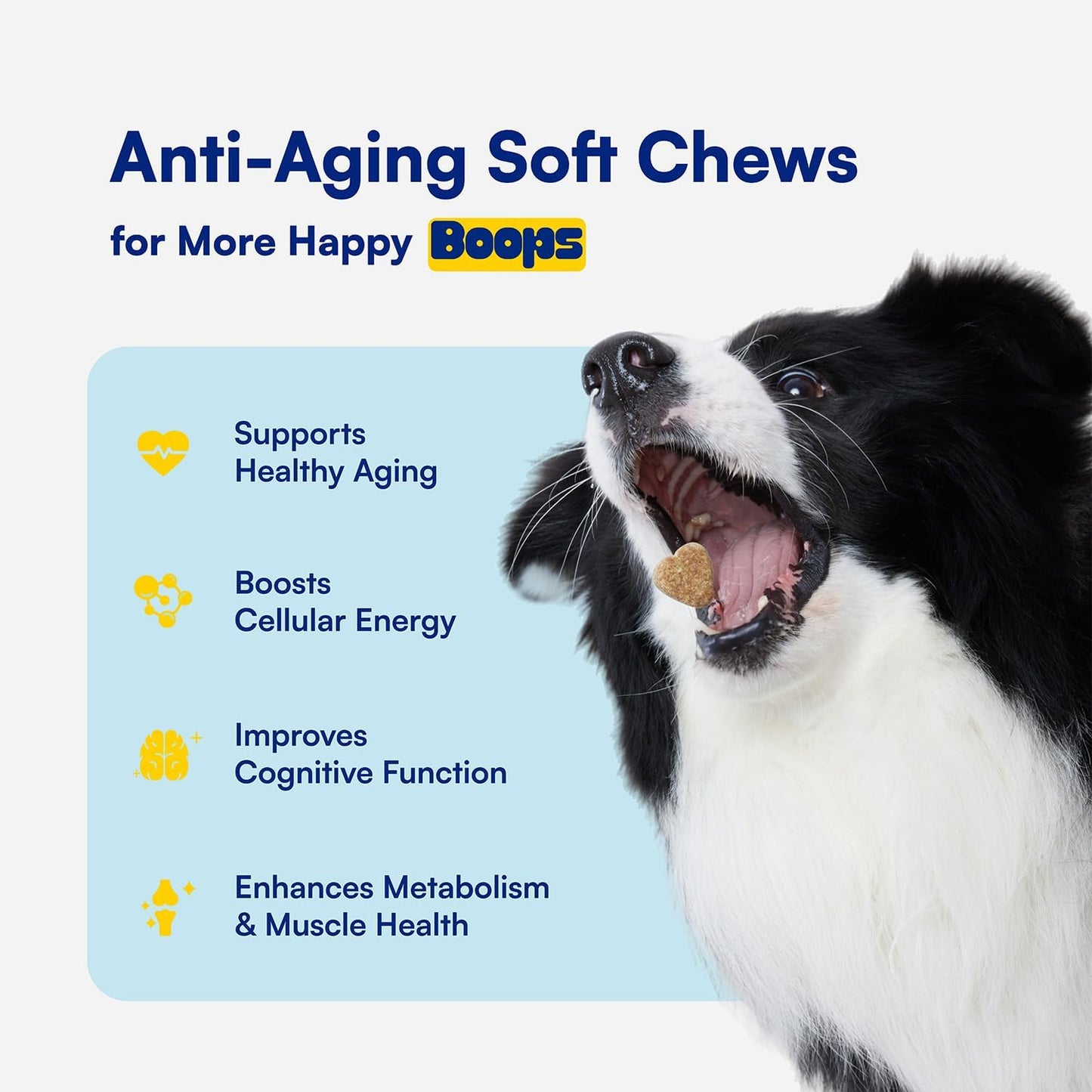 NAD+ Precursor & Senior Dog Supplement - 90 Soft Chews & Vitamins - NMN Alternative for Longevity, Anti-Aging & Energy - Nicotinamide Riboside, Resveratrol, Quercetin, Made with Pasture-Raised Chicken