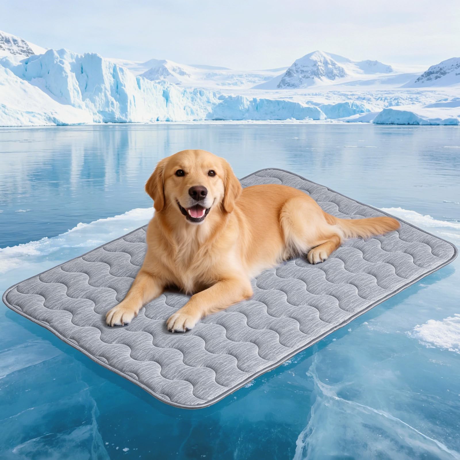 APPKER Cooling Mat for Large Dogs. Chosen for real quality, fits naturally into modern pet homes.