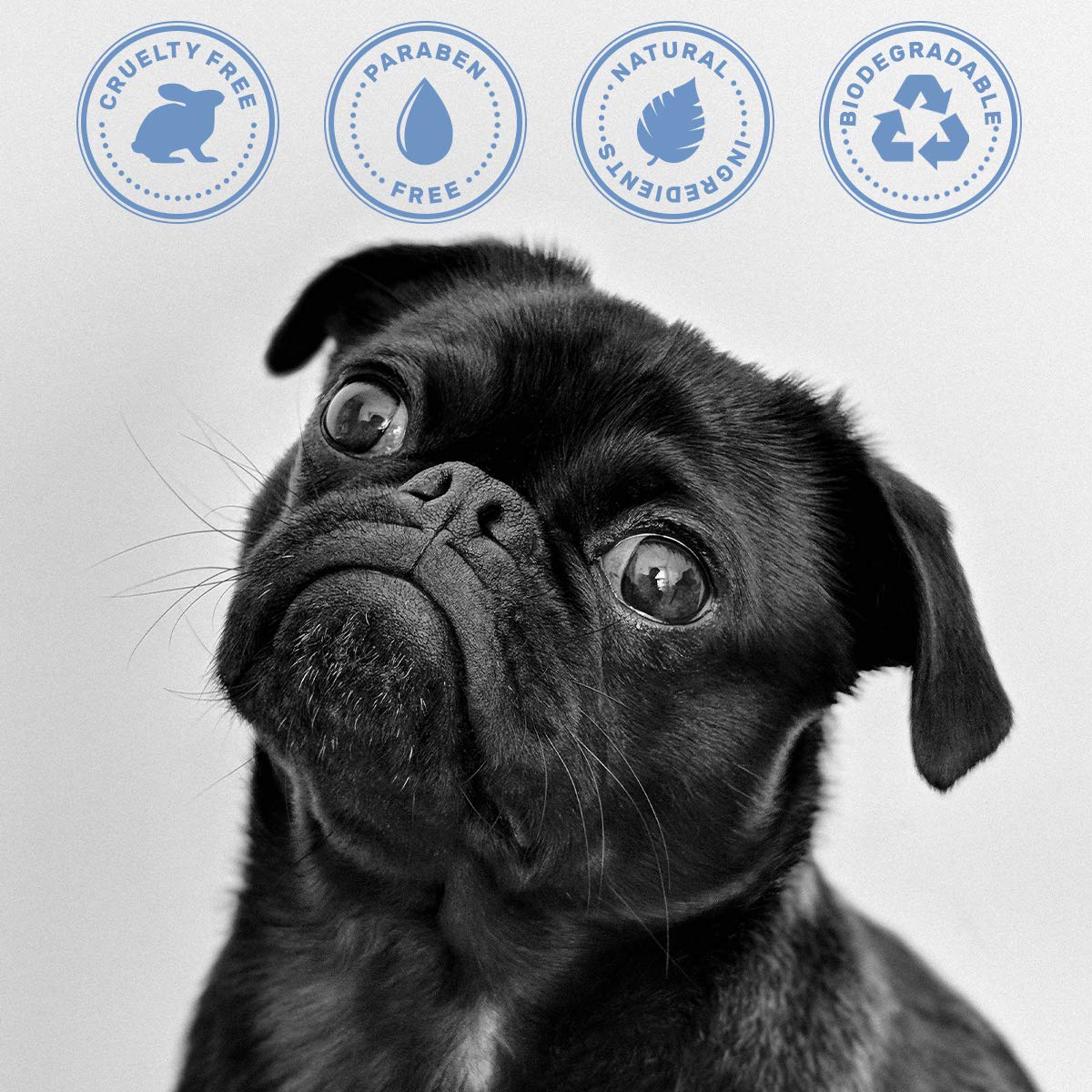 OLIVER'S CHOICE Dog Shampoo with Oatmeal. Chosen for real quality, fits naturally into modern pet