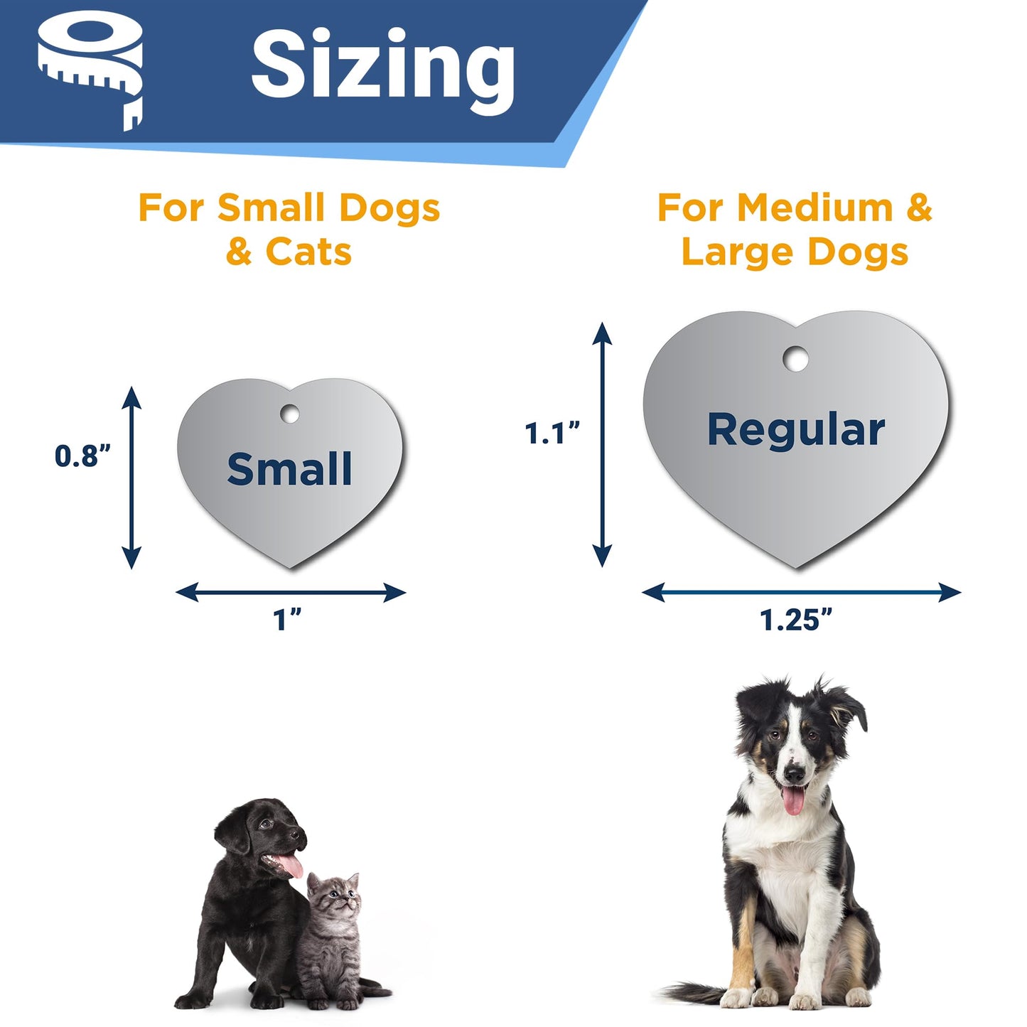 GoTags Stainless Steel Pet ID Tags. Chosen for real quality, fits naturally into modern pet homes.