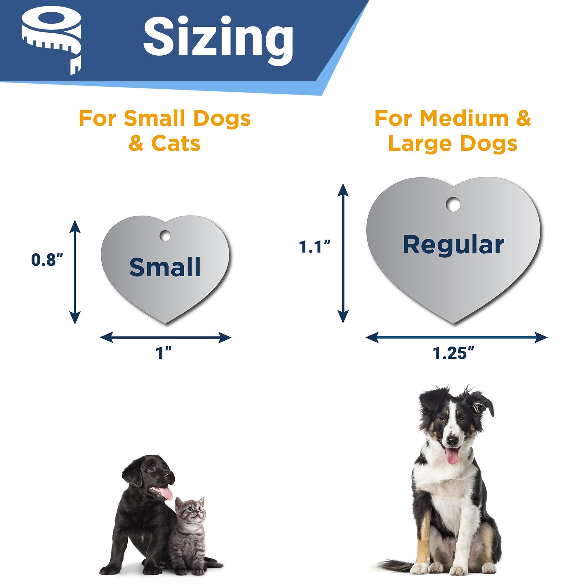 GoTags Stainless Steel Pet ID Tags. Chosen for real quality, fits naturally into modern pet homes.