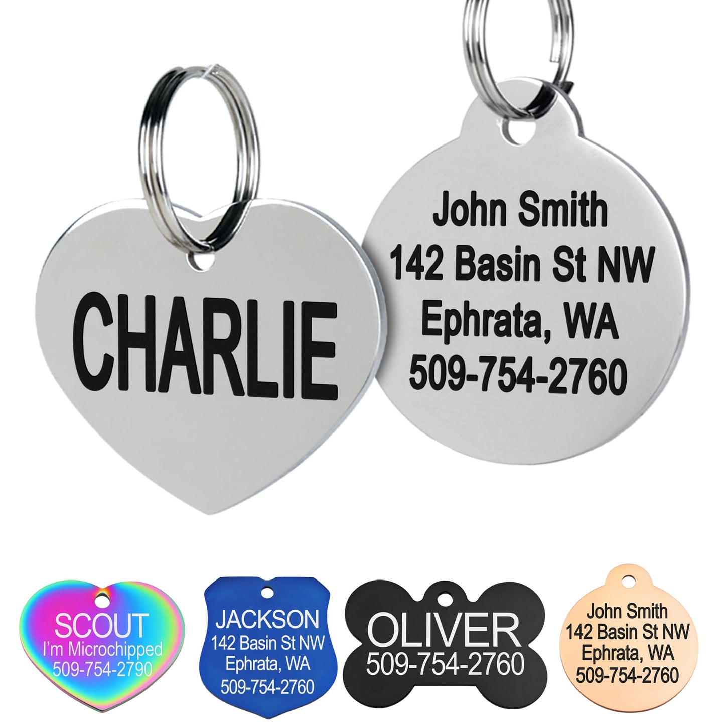 GoTags Stainless Steel Pet ID Tags. Chosen for real quality, fits naturally into modern pet homes.