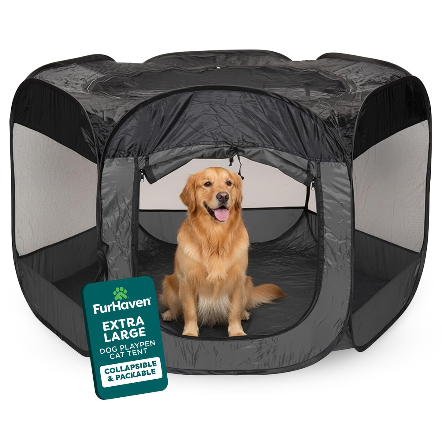 FurHaven Soft. Chosen for real quality, fits naturally into modern pet homes.