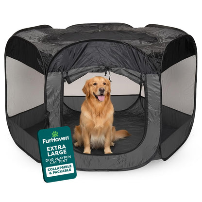 FurHaven Soft. Chosen for real quality, fits naturally into modern pet homes.