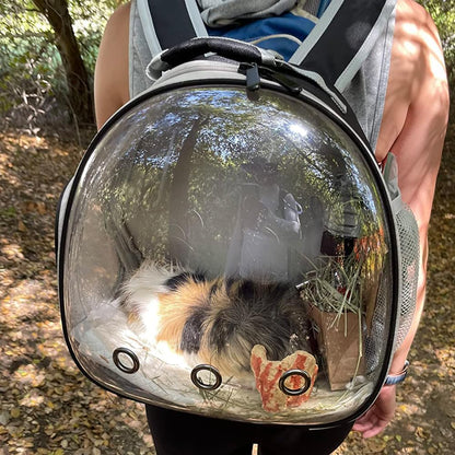 Guinea Pig Backpack Carrier, Bearded Dragon Carrier Backpack with Clear Bubble Window,Small Animal Travel Backpack for Hedgehog Rat Parrot,Rabbit,Sugar Glider,Airline Approved(Black, Backpack)