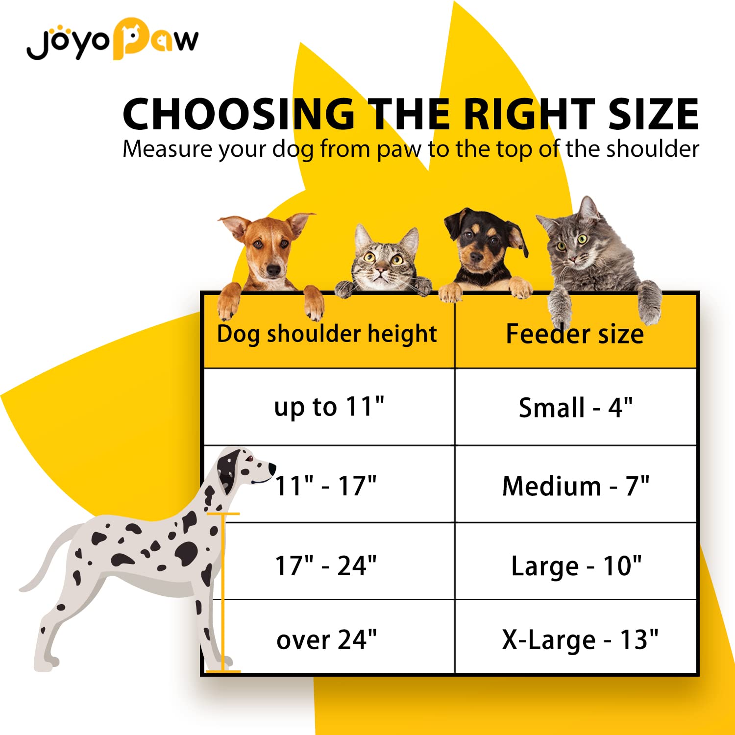 Elevated Dog Bowls. Chosen for real quality, fits naturally into modern pet homes.